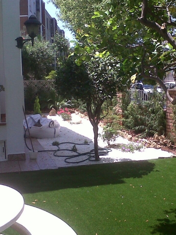 Proyecto 1
