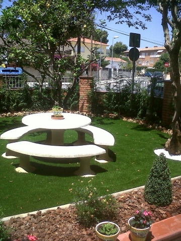 Proyecto 7